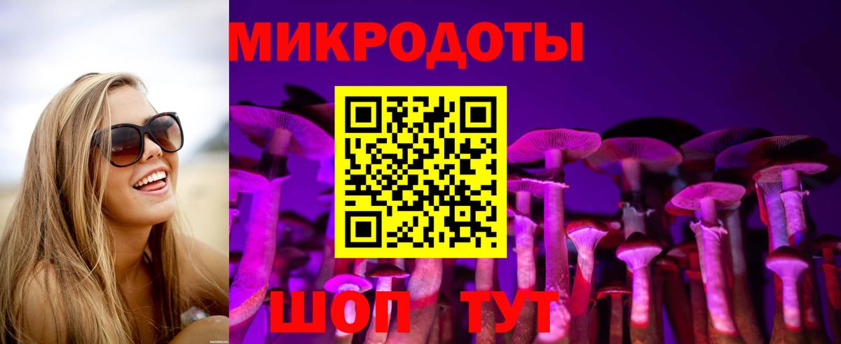 Сертолово  Псилоцибиновые грибы Psilocybine cubensis  Вход с VPN 